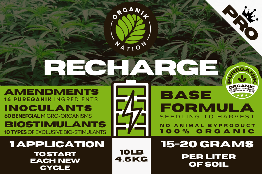 Close-up of Organik Nation RECHARGE Base Formula label showing PUREGANIK organic amendments, 60 beneficial microorganisms, and bio-stimulant blend for healthy cannabis growth.