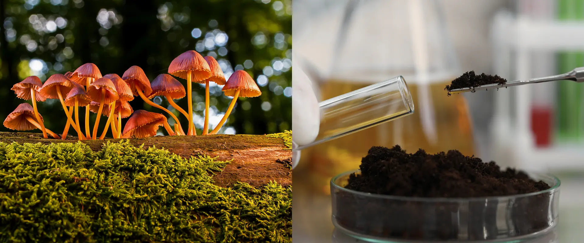 Inspired by Nature. Driven by Science.