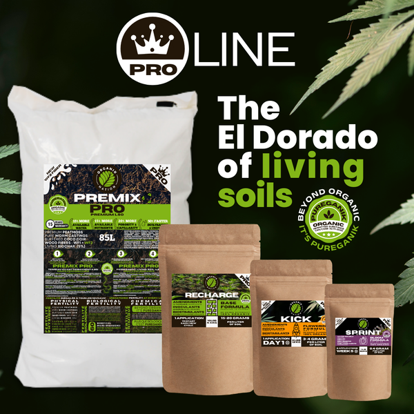 PRO Line - For intensive indoor production
