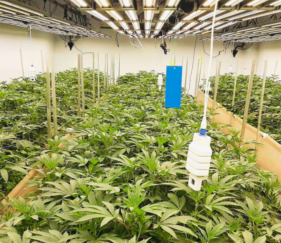 High-impact Leverage