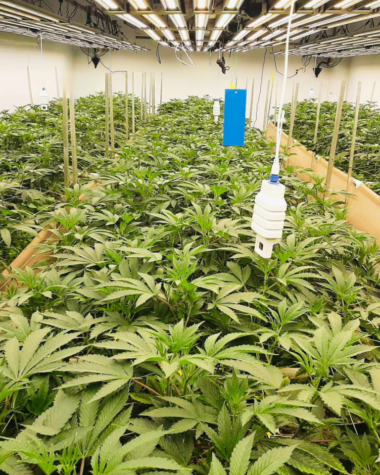 High Impact Leverage