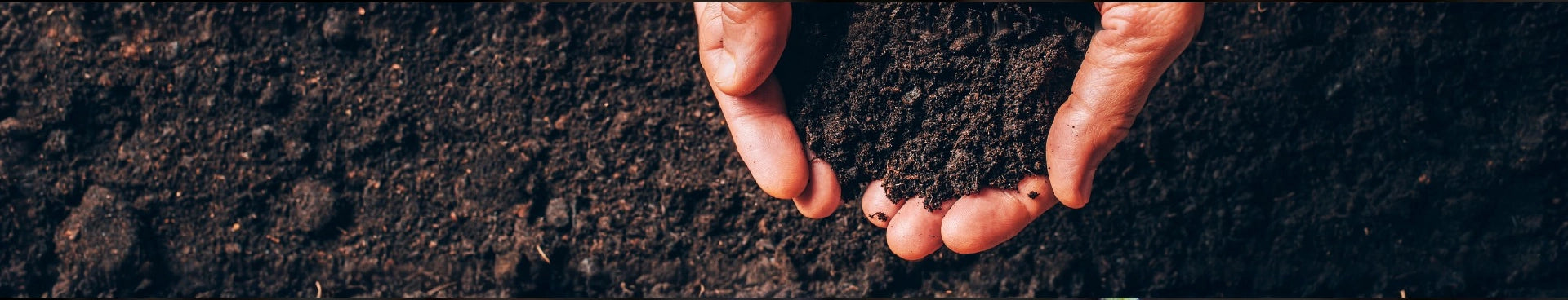 About Organik Nation