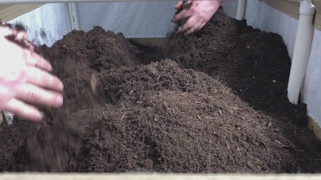 Video showing healthy, living organic soil used in Organik Nation cultivation.