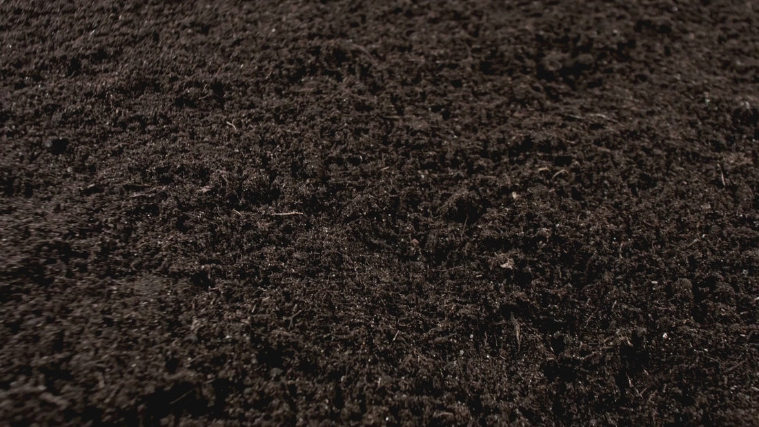 Video showing Organik Nation products blended into organic soil for sustainable plant growth